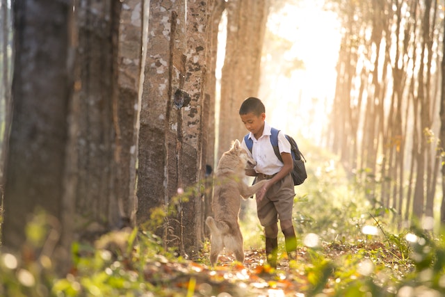 Boys and a Dog Homemaking Homeschooling Tips for Busy Folks