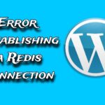 What You Need to Know About Error Establishing a Redis Connection?
