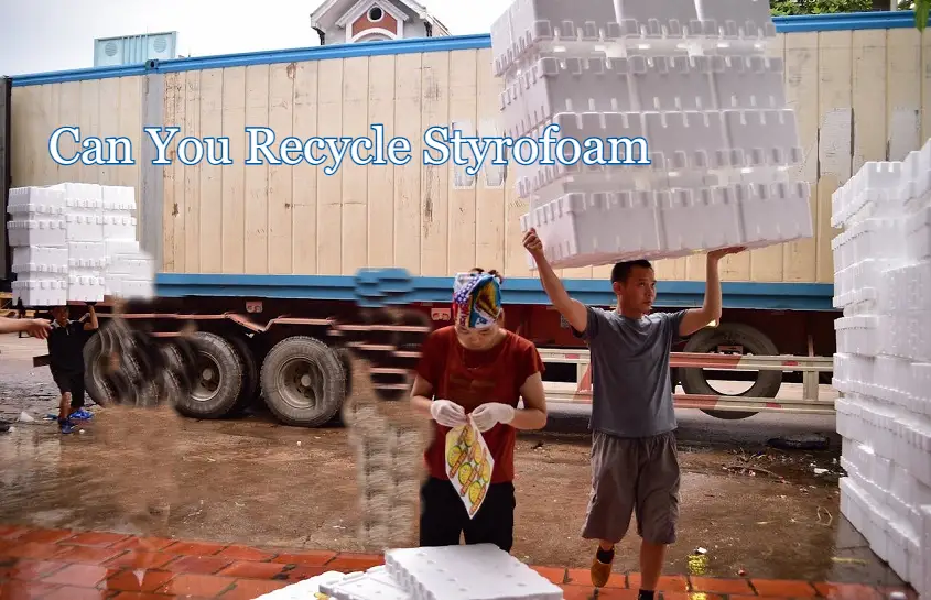 Can You Recycle Styrofoam